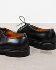 Alden Black Cordovan Plain Toe Blucher