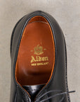 Alden Black Cordovan Plain Toe Blucher