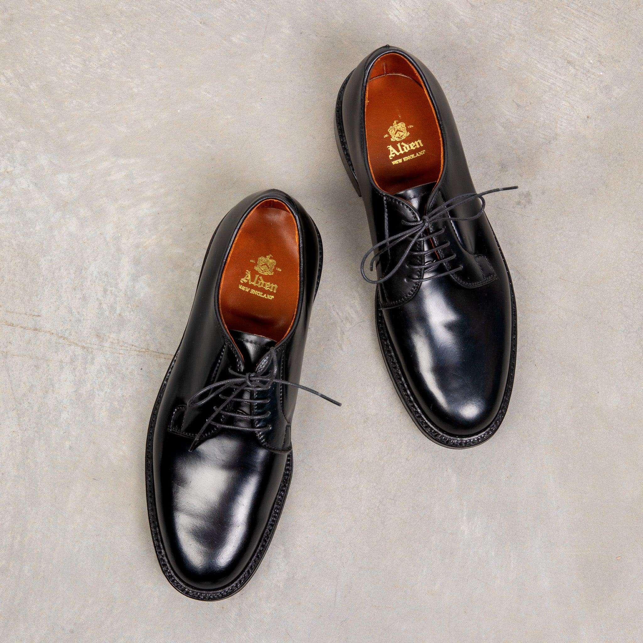 Alden Black Cordovan Plain Toe Blucher