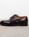 Alden color