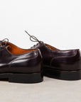 Alden color