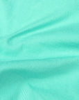 The Real McCoy's Cotton Drill Shorts Teal