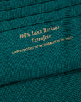 Frans Boone Socks Pura Lana Merinos Pesante Reseda