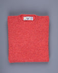 Laurence J. Smith Super Soft Seamless Crewneck Salmon