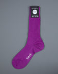 Frans Boone x Pantherella Laburnum Merino Wool Ankle High Socks Sweat Pea