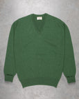 William Lockie Oxton Cashmere V-Neck Serpentine