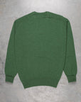 William Lockie Oxton Cashmere V-Neck Serpentine