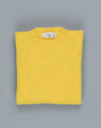 Laurence J. Smith Super soft Seamless Crew Neck Pullover Pistachio