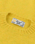 Laurence J. Smith Super soft Seamless Crew Neck Pullover Pistachio