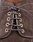 Alden dover pattern dark brown suede NST blutcher