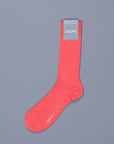 Frans Boone x Pantherella Raynor socks Coral