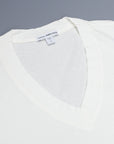 James Perse V Neck Tee Everest White