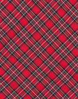 Gitman Vintage x Frans Boone Japanese woven check - Steve