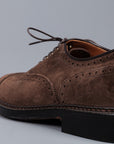 Alden medallion toe 5 eye oxford humus suede