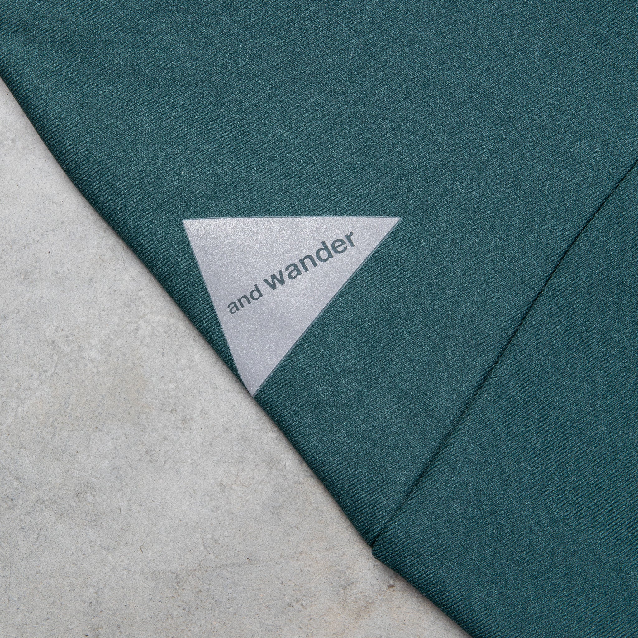 And Wander Light Fleece Pants Green