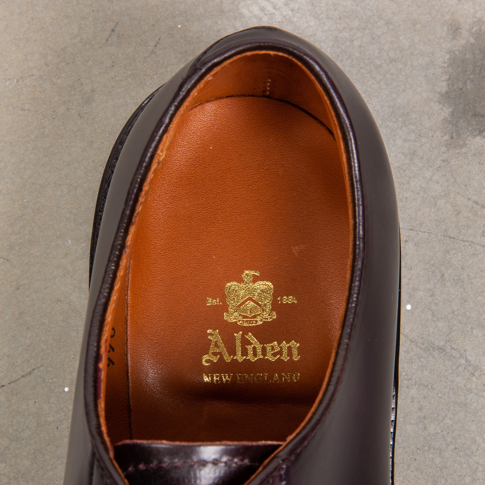 Alden model AF66 size 8 E + polish