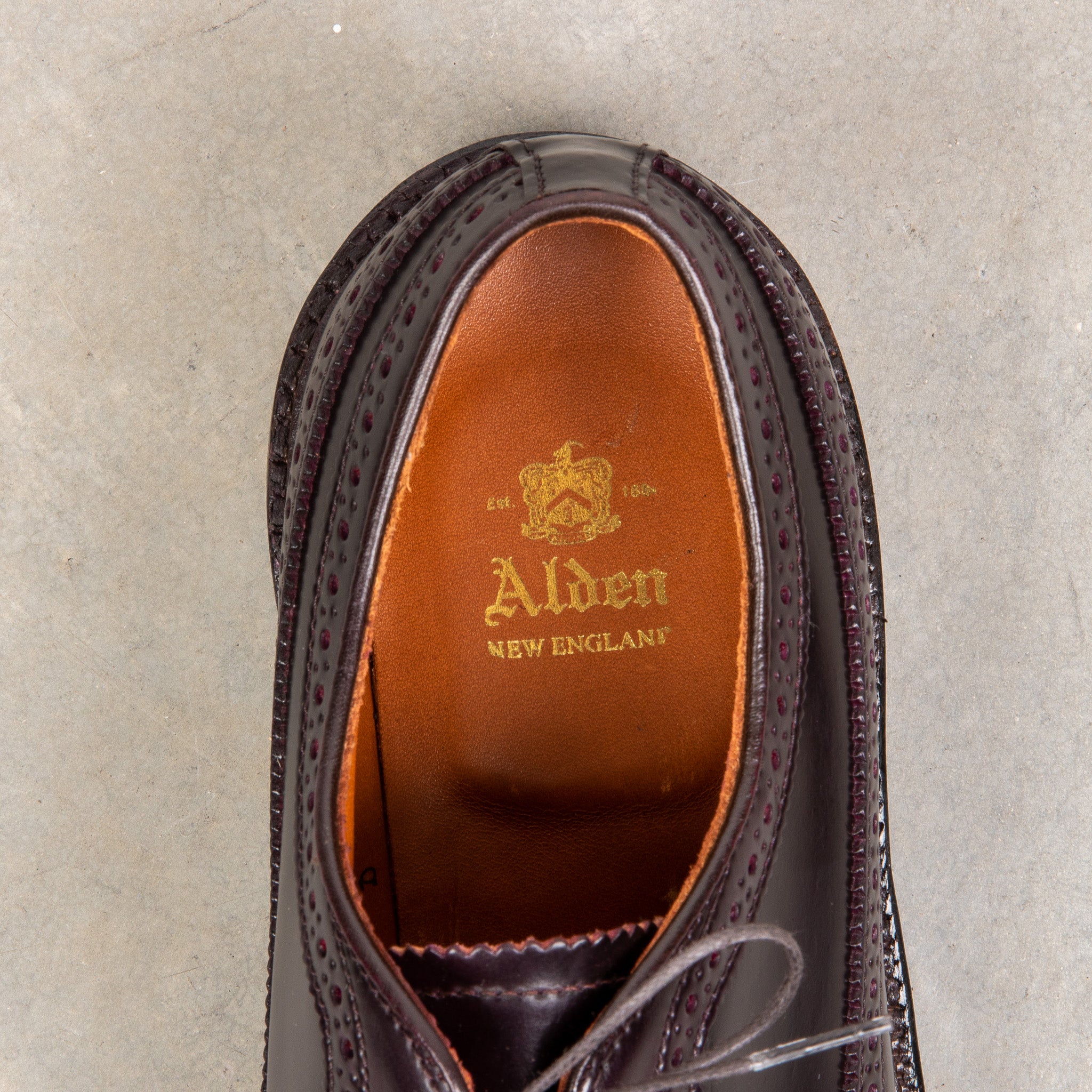 Alden #8 Cordovan Longwing – Frans Boone Store