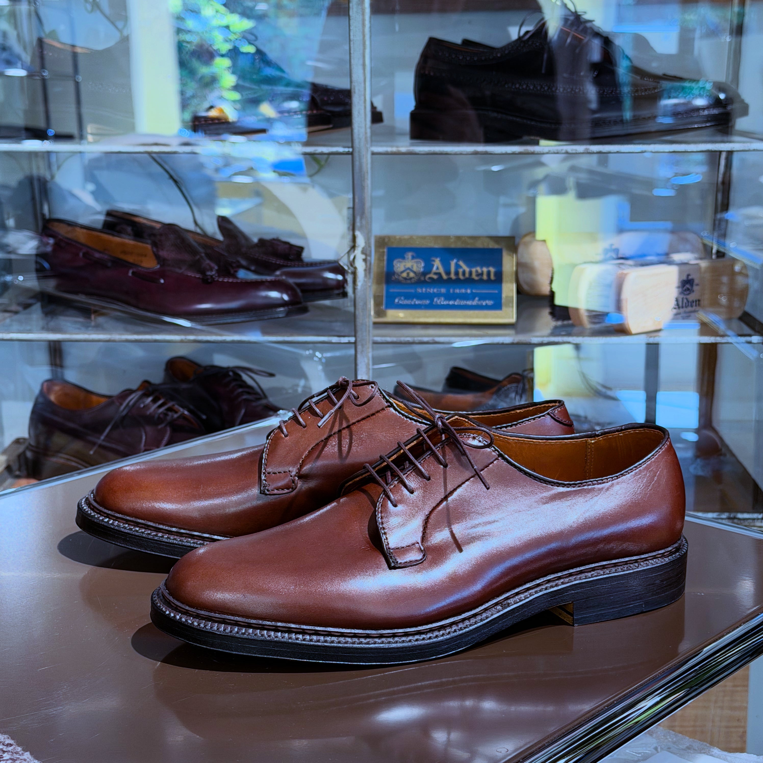 Alden X Frans Boone Plain Toe Blucher Dark Brown Calf Leather