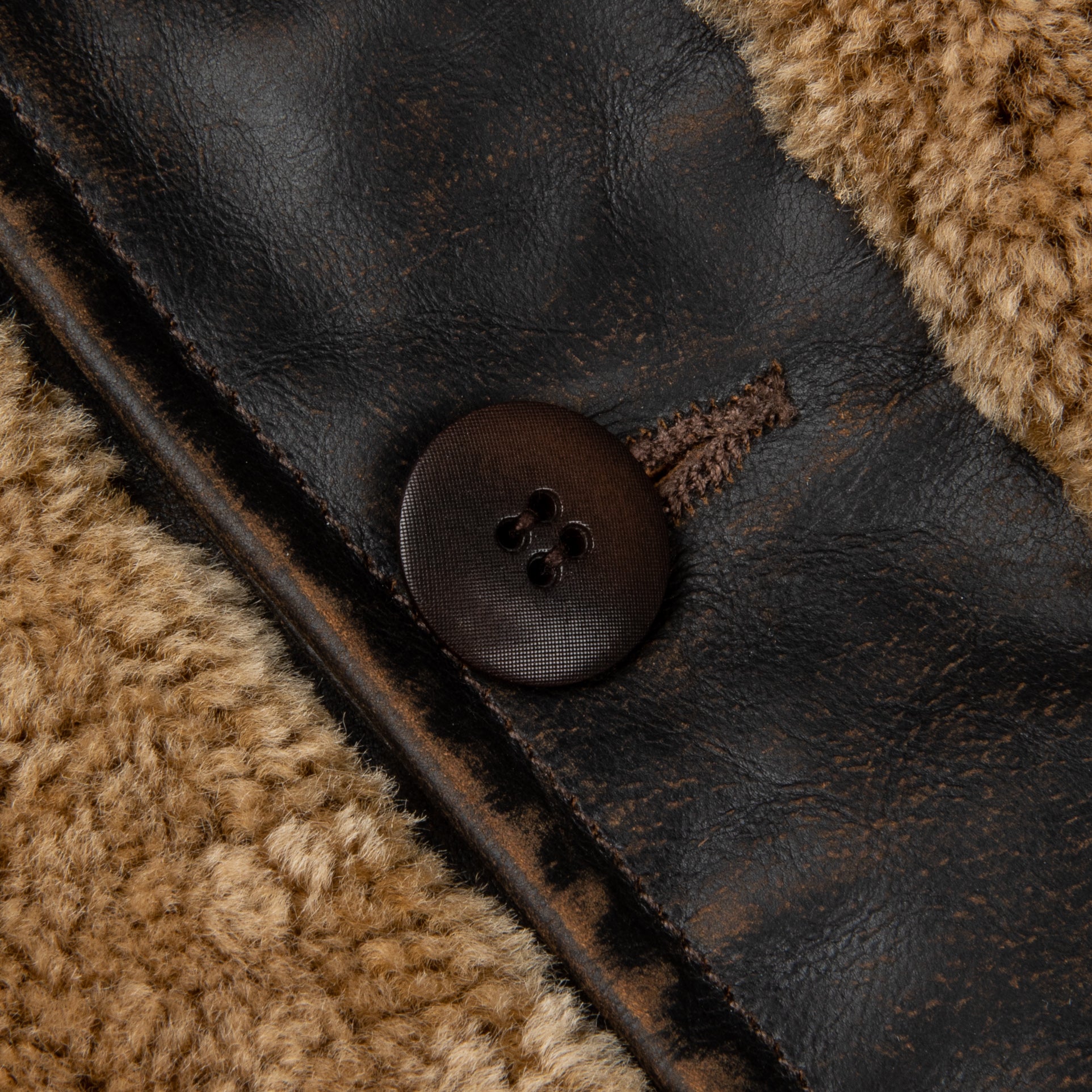 Corozo button detail