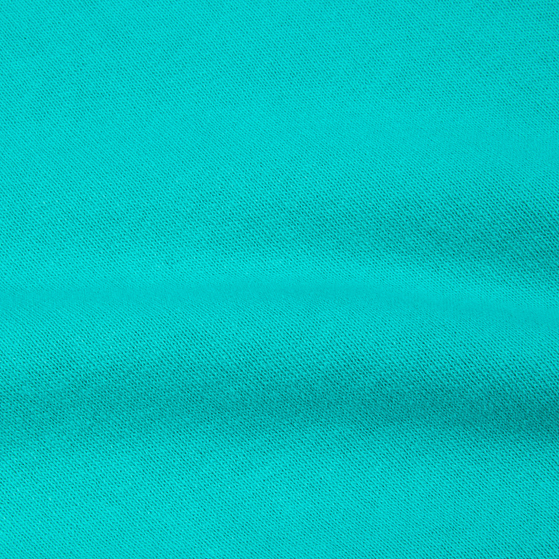 Velva Sheen 10 Oz Raglan "WV" Sweat Turquoise
