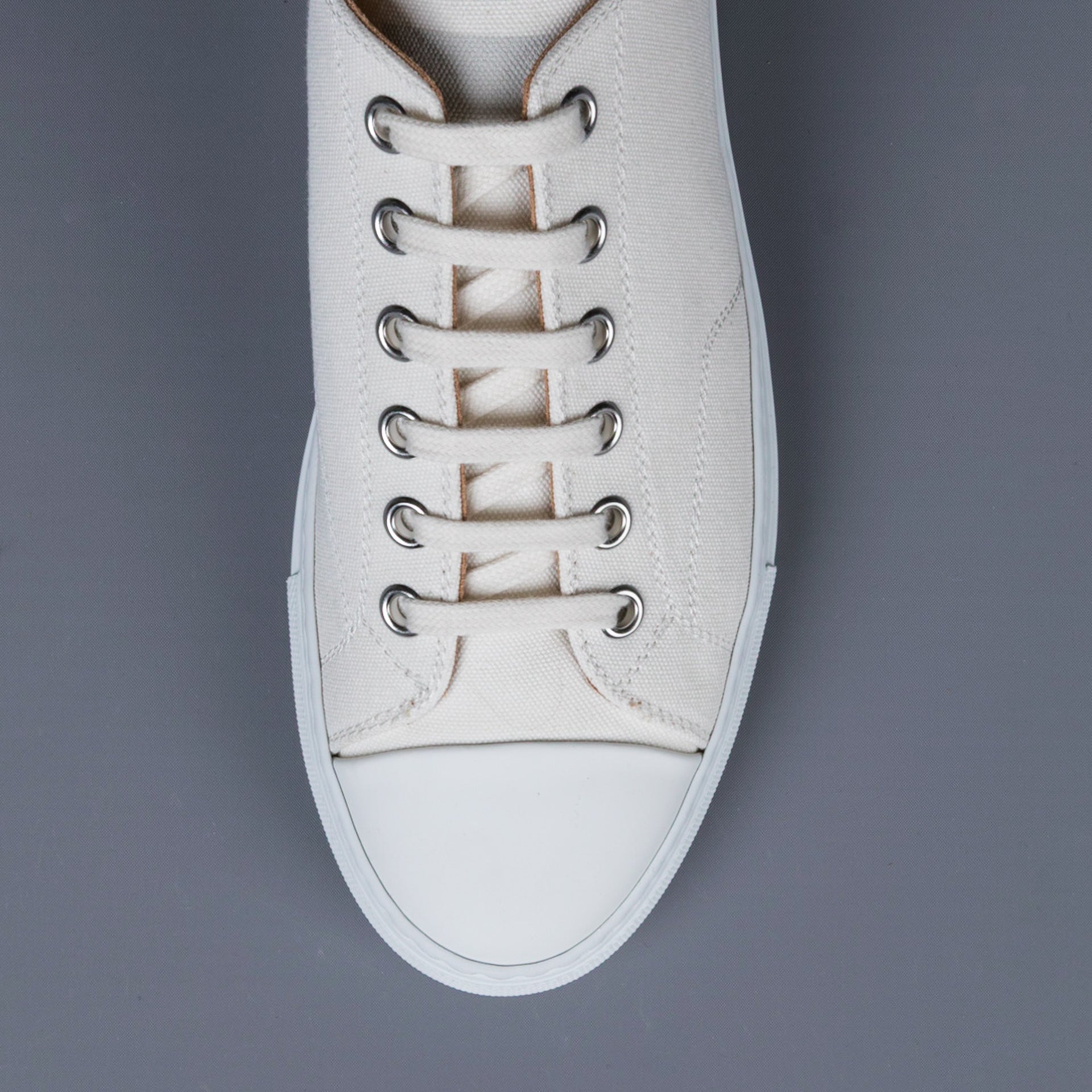 Common Projects Tournament low in Canvas Off White