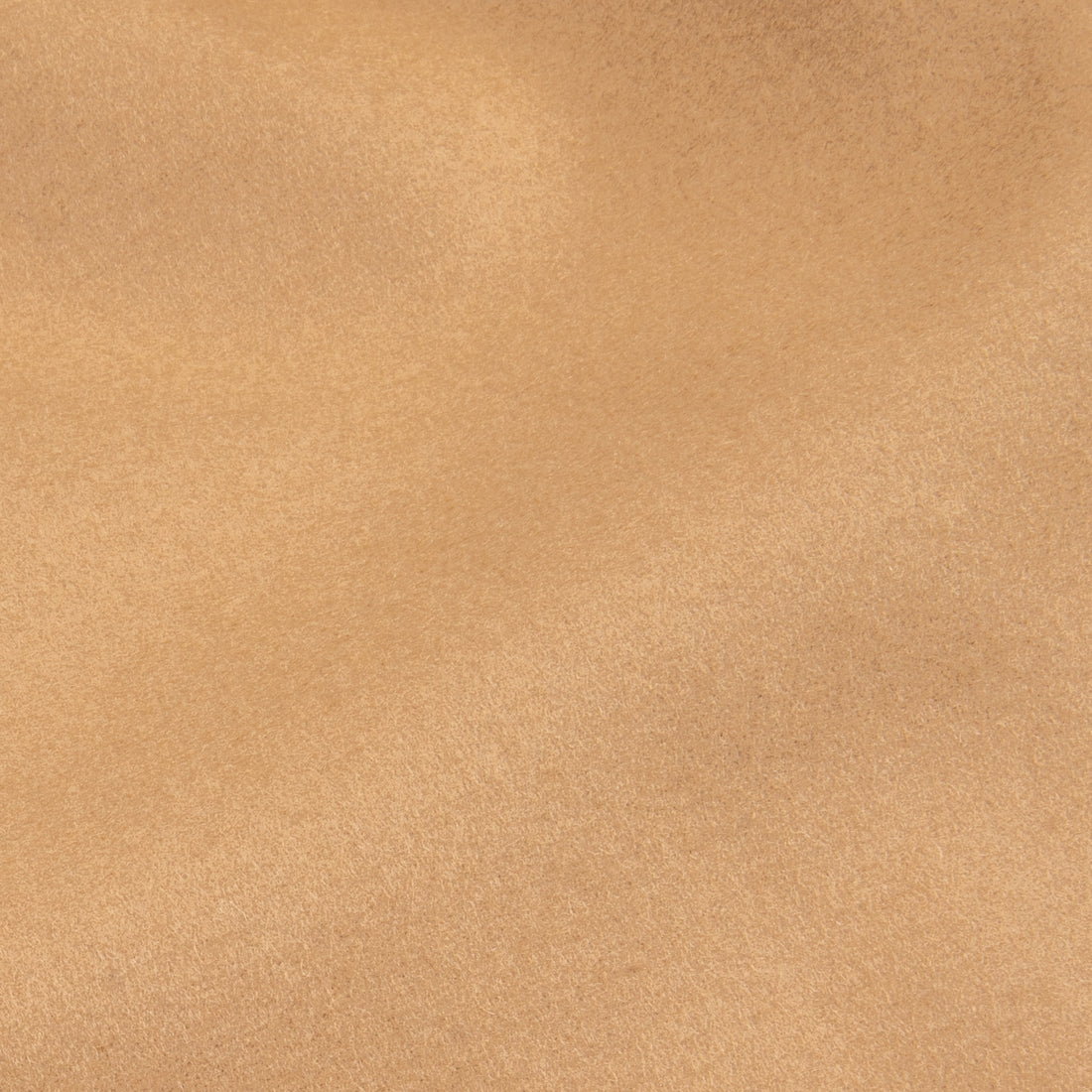 Cohérence Corb Melton Jersey overcoat camel