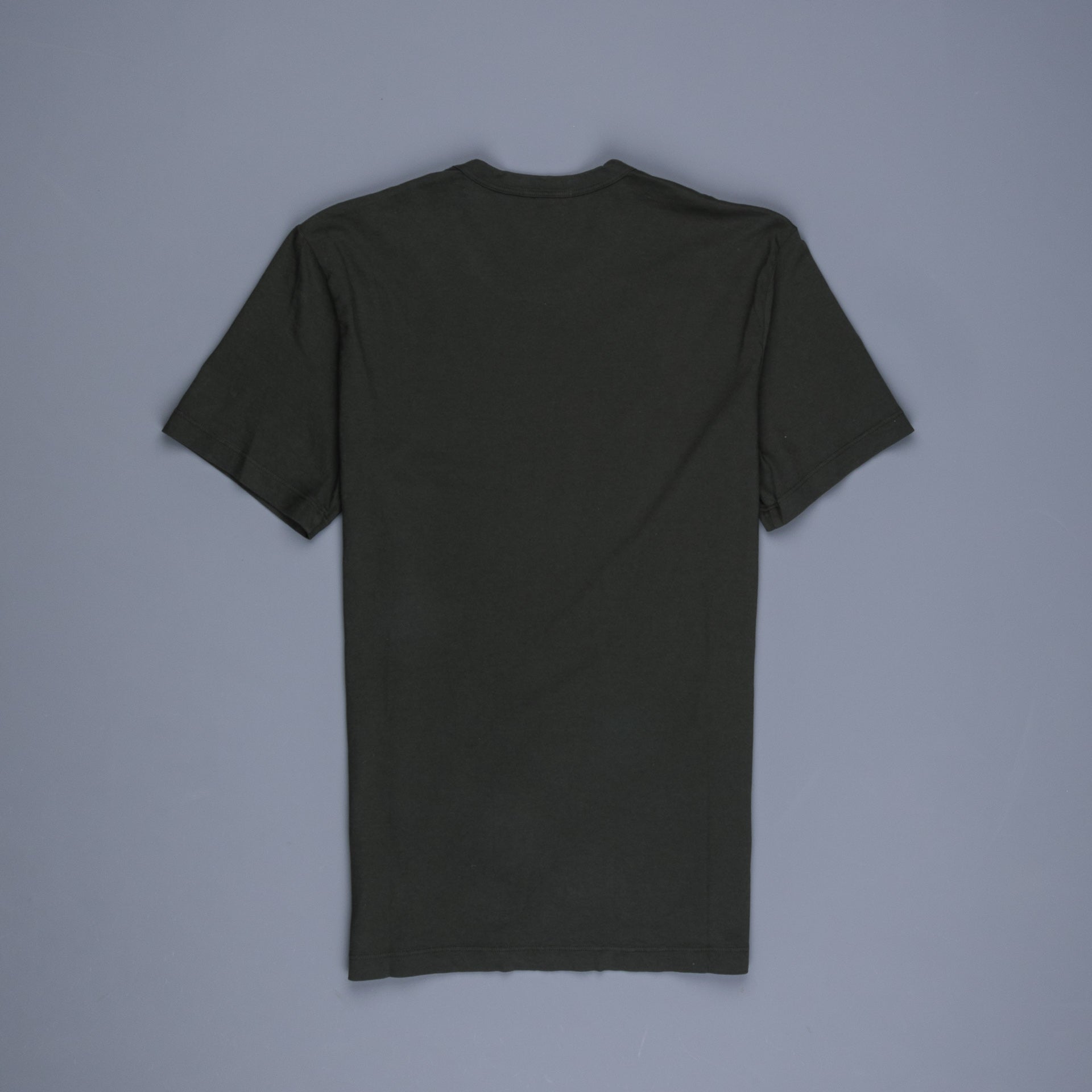 James Perse Crew Neck Tee Dartmouth