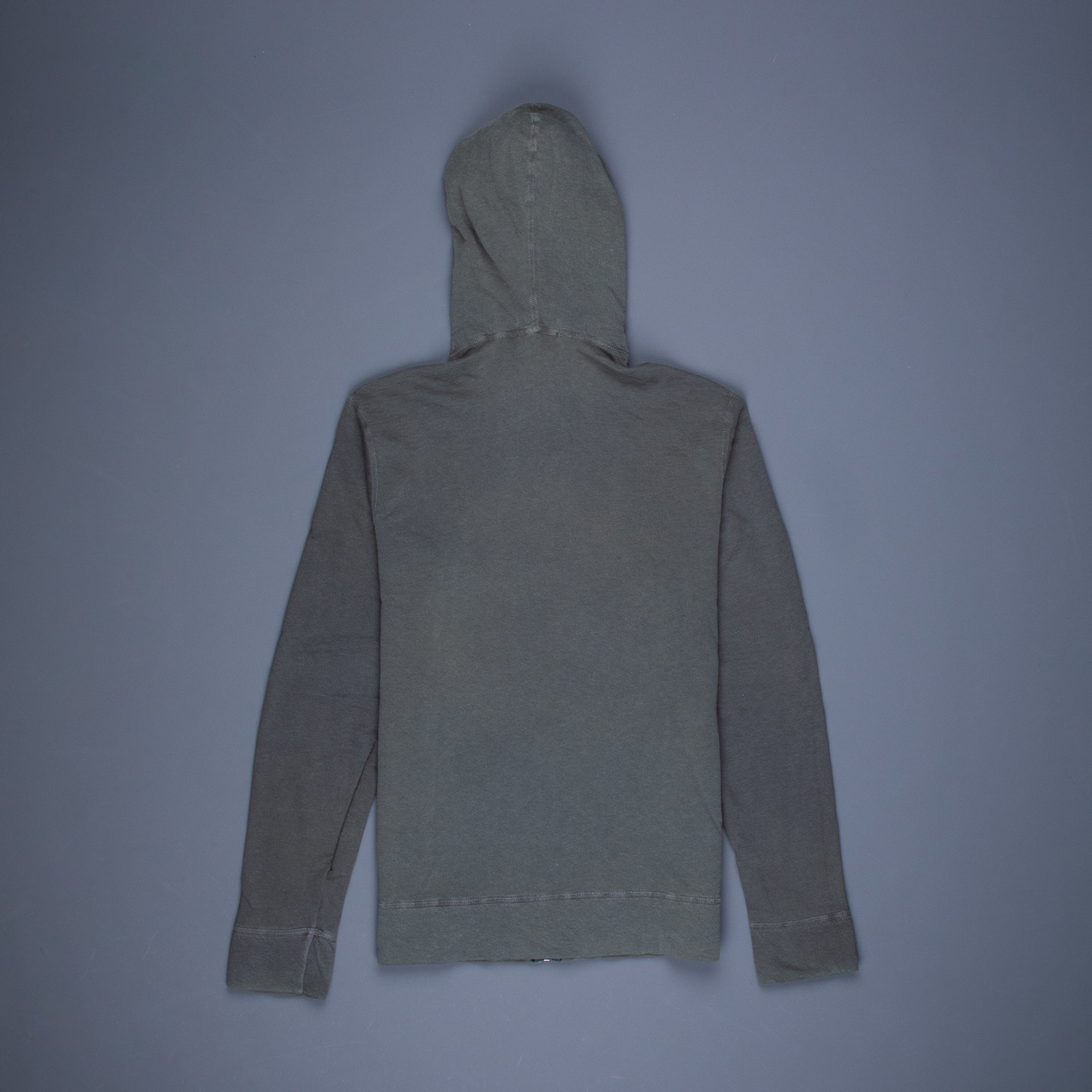 James Perse Vintage cotton hoodie Jungle