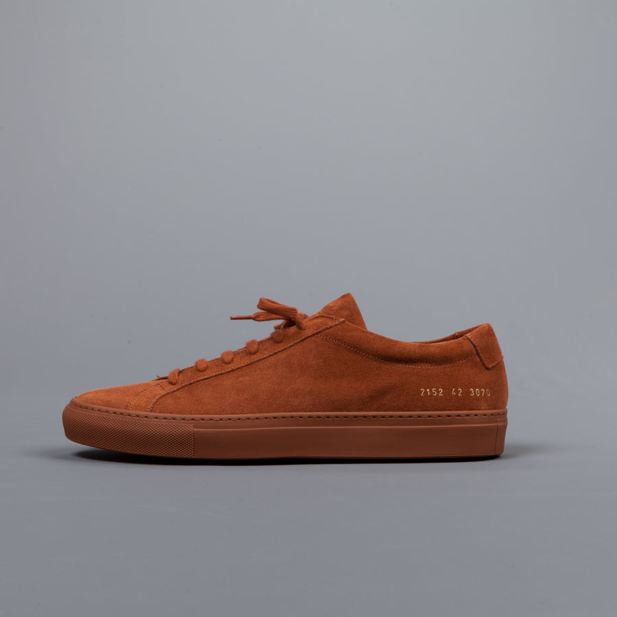 Common Projects Achilles low in suede Rust