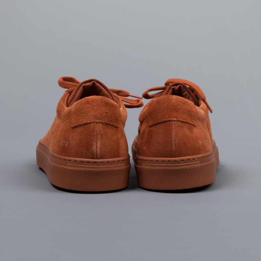 Common Projects Achilles low in suede Rust